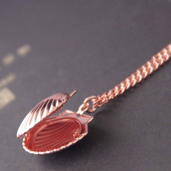 🐚 Awesome Metallic Sea Shell Photo Locket Available In Gold Rose Gold Or Silver - Picture 7 of 8